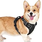 [最新型犬ハーネス]rabbitgoo 犬 ハーネス 犬用胴輪 小型犬/中型犬/大型犬 引っ張り防止 サイズ調整可能 アタマを通さず 夜間反射材 抜けない 通気性 咳き込み防止 歩行補助 老犬 介護用品 散歩 しつけ用 ソフト 抜けない 通気性 簡単着脱 おしゃれ 安全 しつけ用 訓練 歩行補助 散歩(ブラック S）