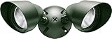 RAB Lighting QB2VG Quartz Bullet Kit Two 75-watt 120-volt and Lamp, Verde Green [並行輸入品]