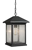 Z-Lite Portland 531CHB Outdoor Pendant Light [並行輸入品]