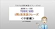 TOEIC 500 -1問1答英語フレーズ-＜中級編＞: いつでも持ち歩いて単語・フレーズcheck！！「TOEIC 500 -1問1答英語フレーズ-＜中級編＞」 (TOEIC英単語)