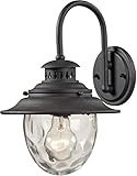 Elk 45040/1 8 by 13-Inch Searsport 1-Light Outdoor Wall Sconce with Water Glass Diffuser, Weathered 