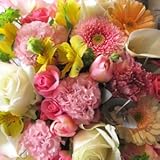 ＴＶチャンピオン出場【今旬フラワーアレンジメント5,500円 スタイリッシュ 春色】誕生日 花　誕生日 プレゼント 女性 フラワーアレンジメント 開業開店祝い 花 劇場 楽屋花 ギフト お見舞い お供