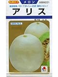 メロン　　アリス　タキイ交配　タキイのノーネットメロン種です　（グリーンデポ）