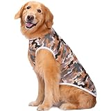 KUVEELA PET 犬服 犬 犬の服 服 夏 春 夏服 ドッグウェア Tシャツ お出掛け お散歩 日焼き防ぐ 脱毛保護 通気性 おしゃれ 大型犬 中型犬（メッシュ)グリーン XL）