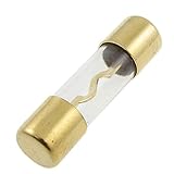 uxcell AGUヒューズ　AGU管　オートカーオーディオ　ガラスチューブ　管　40A　ゴールドトーン　5個