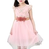 Ruideng 女の子の夏の新しいドレスプリンセスドレスノースリーブシフォンパーティードレスワンピースのスカートのドレスの公演発表会 結婚式 入園式 演奏会 (150cm, ピンク)