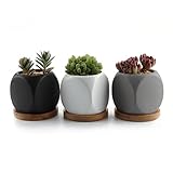 T4U 6.3CM 陶器鉢 ダイス形 多肉植物、サボテン鉢 マット3色セット 各竹製トレイ付き 3点入り