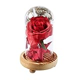 B Blesiya 花瓶　乾燥花　ガラス　カバー　テーブル　部屋　工芸品　装飾　贈り物　