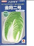 金将二号  タキイの白菜種です