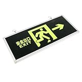 F Fityle 緊急時　自己発光　安全標識 安全出口 非常口 安全サイン 避難サイン　