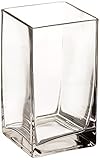WGV Clear Square Bud Block Glass Vase 3 by 6-Inch [並行輸入品]