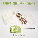 リーフレタス 水耕栽培 苗作りキット (種子付き)