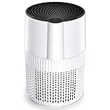 空気清浄機 PAXCESS 空気清浄器 消臭 ほこり タバコ対策 HEPAフィルター 睡眠モード チャイルドロック タイマー付き 3段風量調