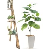公式｜造花ドットコム 【国内製造品】 プレミアム光触媒フェイクグリーン「フィカス ウンベラータ 高さ90cm 幅50cm 奥行40cm」 【白角ポットとヤシの繊維付】92106