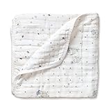 [正規輸入品] (エイデンアンドアネイ) aden+anais ドリームブランケット/フクロウ