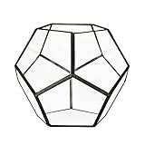 OUNONA ガラス工場テラリウム容器多肉植物プランター14x14x12cm（錫黒）