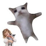 サウンド付きのかわいい猫のぬいぐるみ、ミーム猫のぬいぐるみ、興味深いインタラクティブなふわふわぬいぐるみ猫、Dp 漫画のかわいい猫のぬいぐるみ、子供の誕生日、クリスマス、読書仲間、ソファの装飾、ベッドの装飾に。