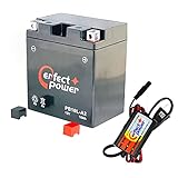 PERFECT POWER バイクバッテリー PB10L-A2 ＋ PerfectPower バッテリー充電器 充電済 互換 YB7-A YB7-A-2 12N7-4A GM7Z-4A FB7-A ユアサ YUASA 即使用可能 バーディー GT380 GN125 GS125 Vespa