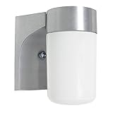 Sunset Lighting F4511-16 Outdoor Wall Sconce with Opal Glass, Satin Aluminum Finish [並行輸入品]