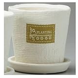 【4個セット販売】エイチツーオー　H883　カジュアルポットL　グリーン　穴有　キャップ付　受け皿付　サイズ：約φ15.5ｃｍｘ高さ16ｃｍ