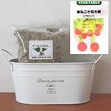 赤丸二十日大根（ピラピック）の栽培セット/標準セット（液体肥料無し）プランターホワイト仕様