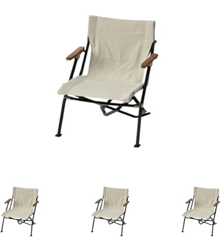 Amazon.co.jp: スノーピーク【2022 雪峰祭 春】 ローチェア