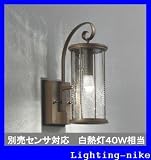 オーデリック エクステリアライト OG041474LC