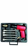 Chicago Pneumatic CP7111K Air Hammer Kit [並行輸入品]