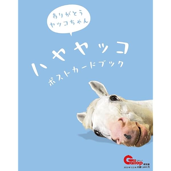 リバティアイランド ポストカードブック | サンケイスポーツ |本