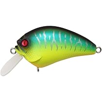 Amazon.co.jp: メガバス(Megabass) ルアー IXI SHAD(アイバイアイ