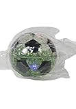 NeroアウトドアHigh Bounce夏Toys液体Filled Balls NS100-BLUE