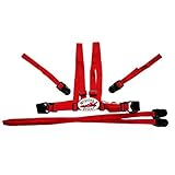 BabySecurity Harness & Reins - Red Racing Car by Clippasafe