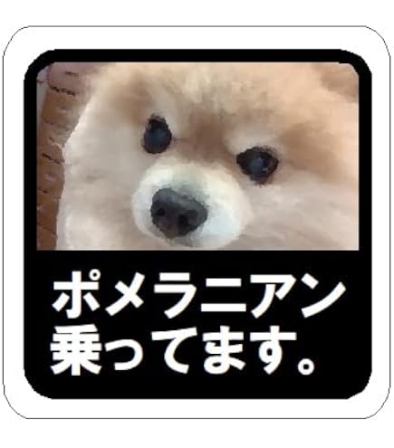 Amazon.co.jp: ポメラニアン乗ってます カー マグネットステッカー