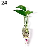 (サンライン)Sun Line ガラスハンギング花瓶 ボトル 植物ポット 観葉植物 花瓶 インテリア (2#)