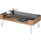 インテリア 家具 便利 おしゃれ コーヒーテーブル 長方形 スチール/強化ガラス製 棚収納付き PT-582ZB