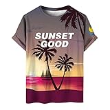 [LFKERWMG] 厚手 tシャツ メンズ 綿 uvカット パーカー 冷感 コート メンズ 赤 長袖tシャツ メンズ 速乾 作業着 白tシャツ メンズ半袖 パーカー メンズ 夏 4l メンズ シャツ 半袖 茶色 15.99