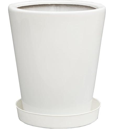 Amazon.co.jp: 松村農園 観葉植物の鉢 8号 白 丸陶器鉢 白 陶器鉢
