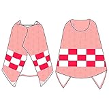 Amycute 鬼滅の刃 ブランケット フード付き 禰豆子 着る毛布 子供 胡蝶しのぶ 炭治郎 我妻善逸 着るブランケット マント 仮装 も