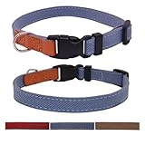 WDPAWS ペット首輪 小型犬 首輪 犬 犬の首輪 調節可能 犬用首輪 超軽量 デニム製 (ブルー, S)