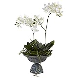 Home Indoor Decorative Tabletop Mini Dendrobium with Metal Vase