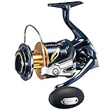 シマノ(SHIMANO) リール 19 ステラ SW 10000PG