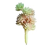OUNONA 人工観葉植物　人工多肉植物　装飾　人工フェイク　ミニ　光触媒　CT触媒　風景モデル　プラスチック製　造花　枯れない　ホームオフィスデコレーション　室内インテリア　ガーデン　雑貨