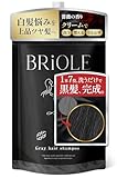 【リニューアル/1本7役/白髪ケア】 白髪染め シャンプー クリームシャンプー ヘナ カラートリートメント しらがぞめ レディース メンズ BRiOLE ブラック 250g