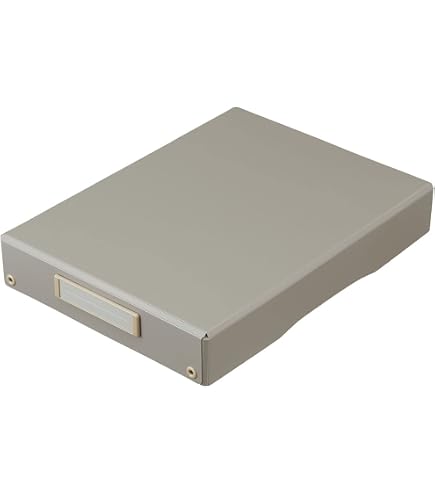 Amazon.co.jp: （まとめ） 王子アドバ マチ付レターケースA4サイズ