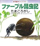 ファーブル昆虫記 たまころがし (科学絵本ライブラリー)