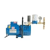 SAS Safety 9820-00 3/4-HP Oil-Less Two-Man Air Pump [並行輸入品]