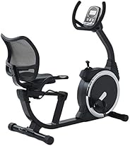 【Amazon.co.jp限定】アルインコ(ALINCO) フィットネスバイク リカンベントバイク [1年保証] ウォークスルー形状 安全クランク一体型 マグネット方式8段階 心拍数測定 幅広サドル 無段階シート調節 A