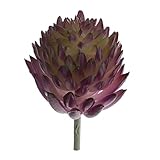 Baoblaze 観葉植物　エケベリア　枯れない　人造　人工植物　飾り物　紫　デコレーション