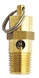 Milton 1095-150 1/4" MNPT Non Coded Safety Relief Valve [並行輸入品]