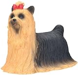 YTC Summit 4772 YORKSHIRE TERRIER, C-96